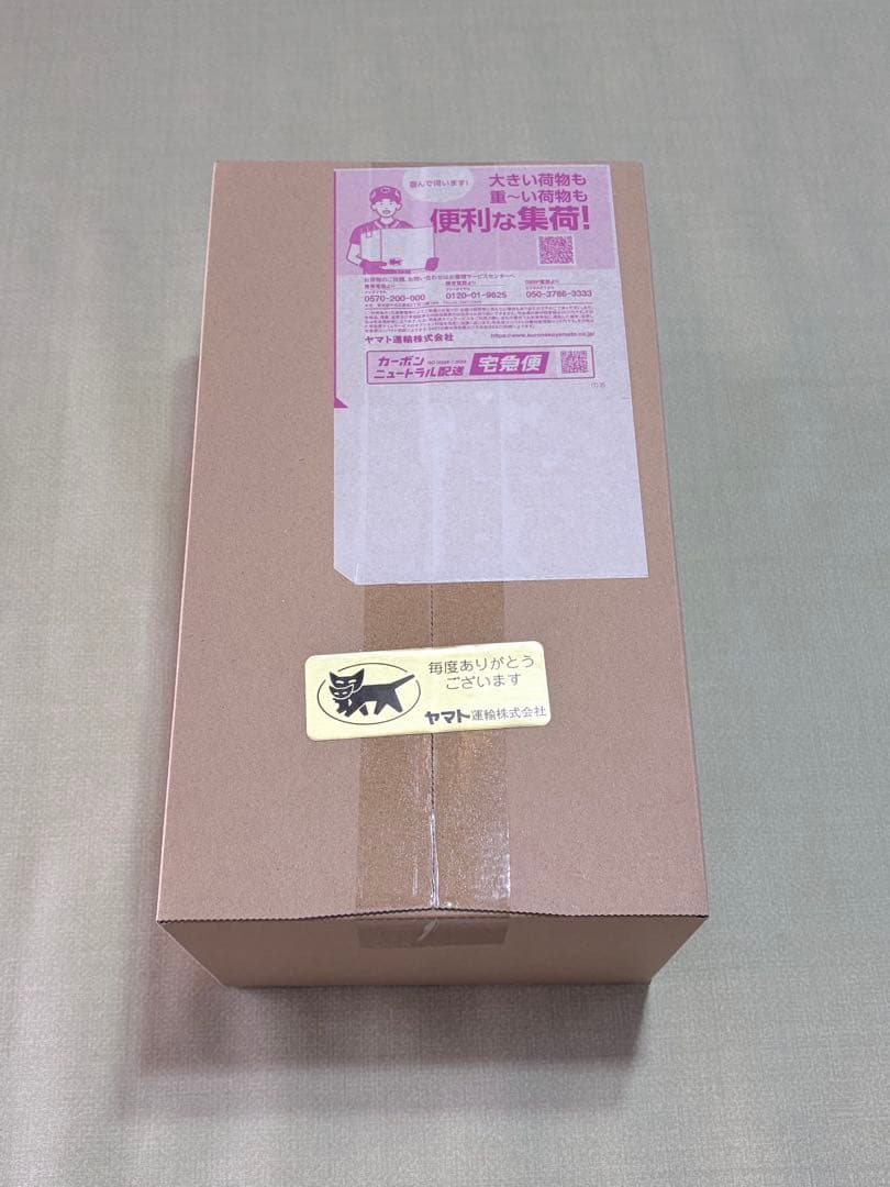 ポケモンセンタースペシャルBOXトウホク　未開封