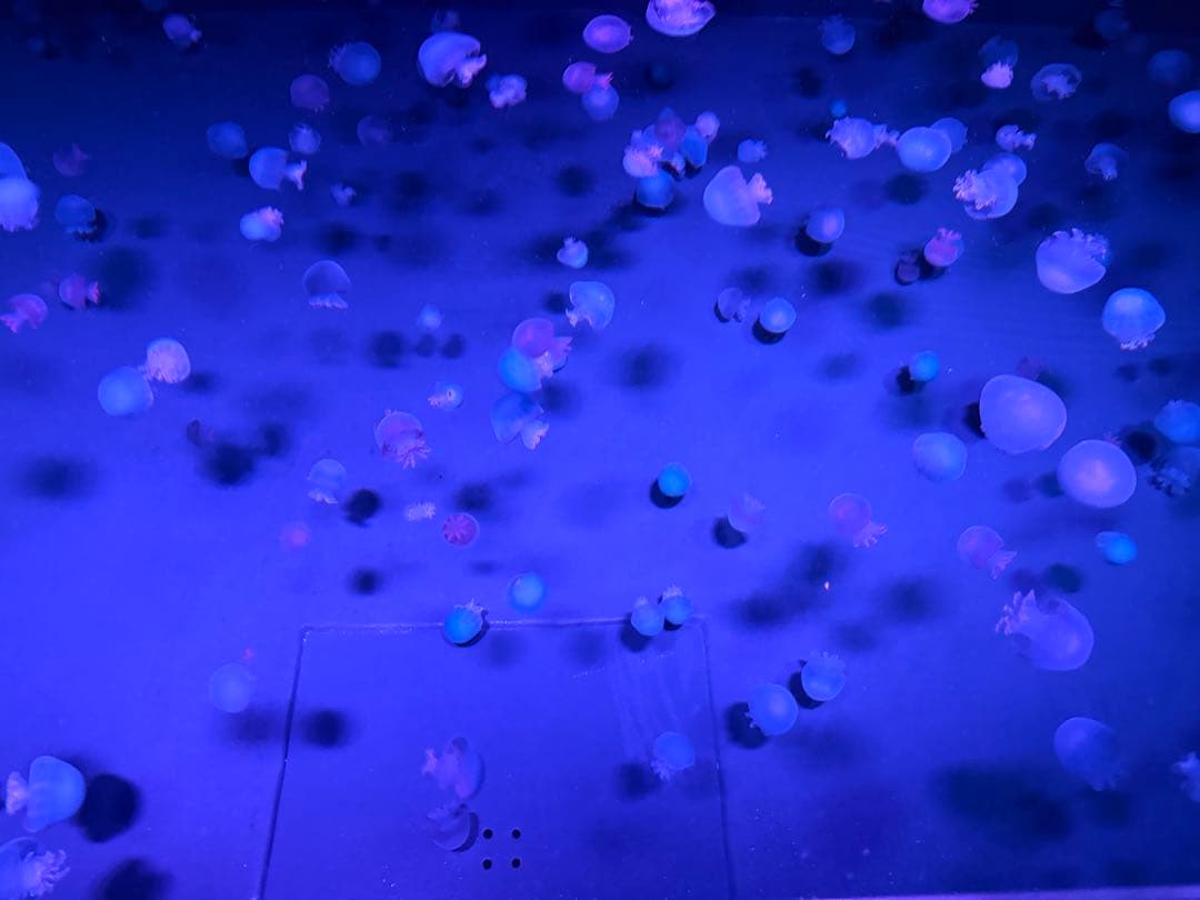 専用　kanademono シンプルなウッドパソコンデスク