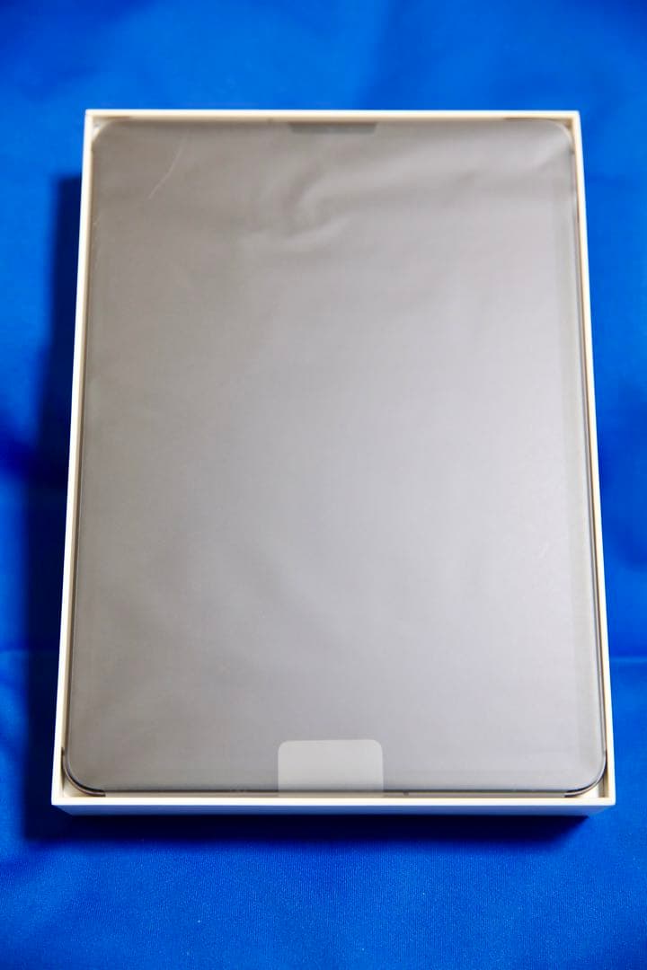 iPad Pro 11インチ 第2世代 Wi-Fi ＋ セルラー 256GB
