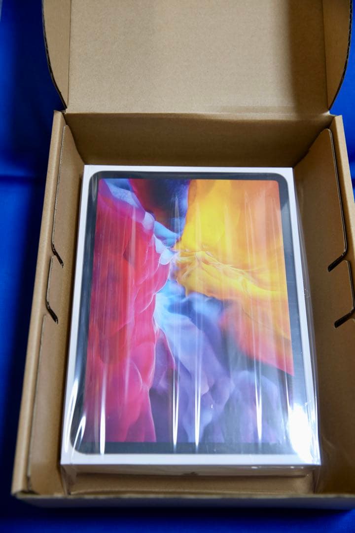 iPad Pro 11インチ 第2世代 Wi-Fi ＋ セルラー 256GB