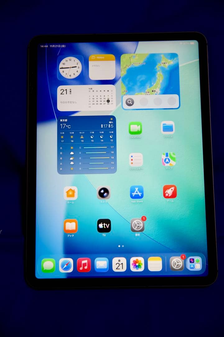 iPad Pro 11インチ 第2世代 Wi-Fi ＋ セルラー 256GB