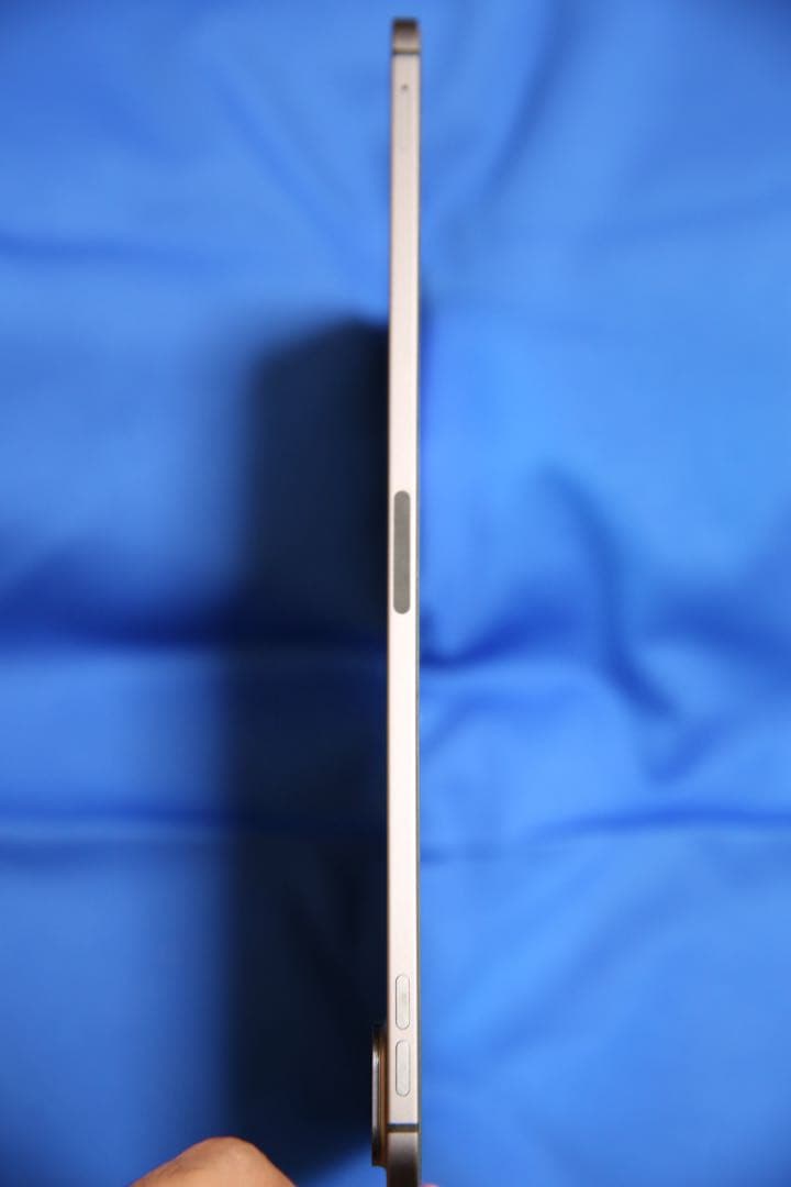 iPad Pro 11インチ 第2世代 Wi-Fi ＋ セルラー 256GB