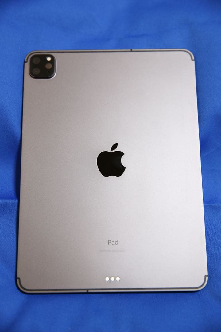 iPad Pro 11インチ 第2世代 Wi-Fi ＋ セルラー 256GB