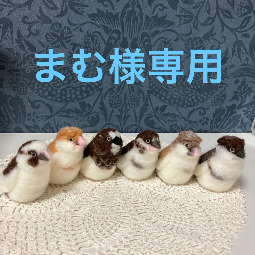 リクエストNO.2610☆十姉妹☆実物大☆6点セット