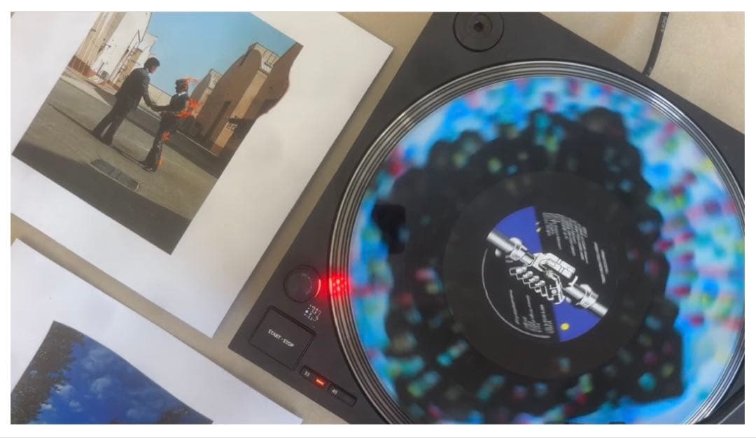 Pink Floyd Wish 限定LPレコード You Were Here