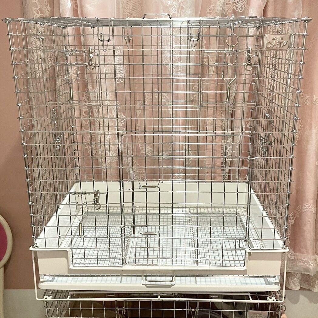 コンフォート60ハイルーフ ロイヤルチンチラDX 限定色