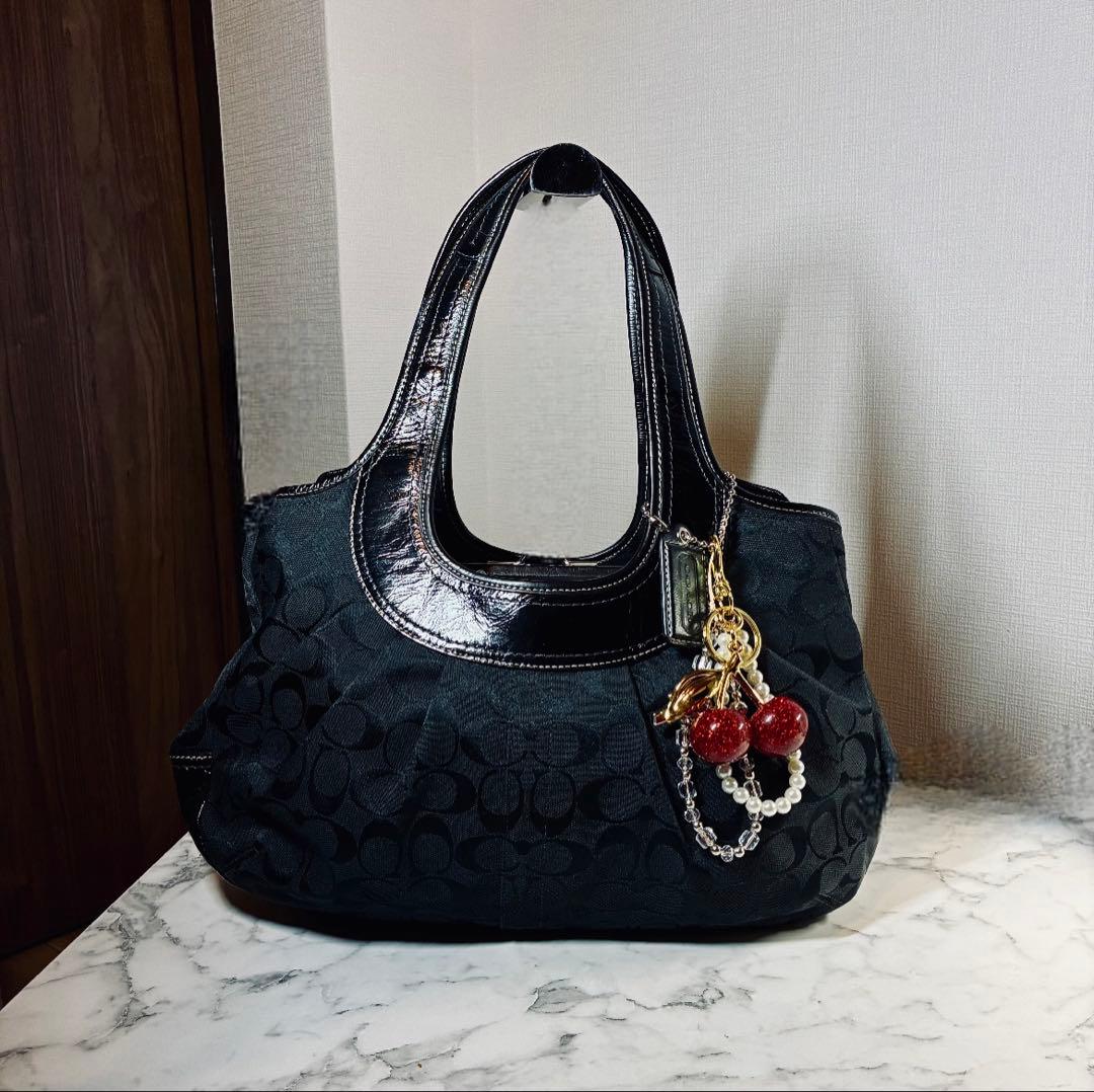 COACH F14380 プリーテッド サッチェル エルゴ バッグ がま口