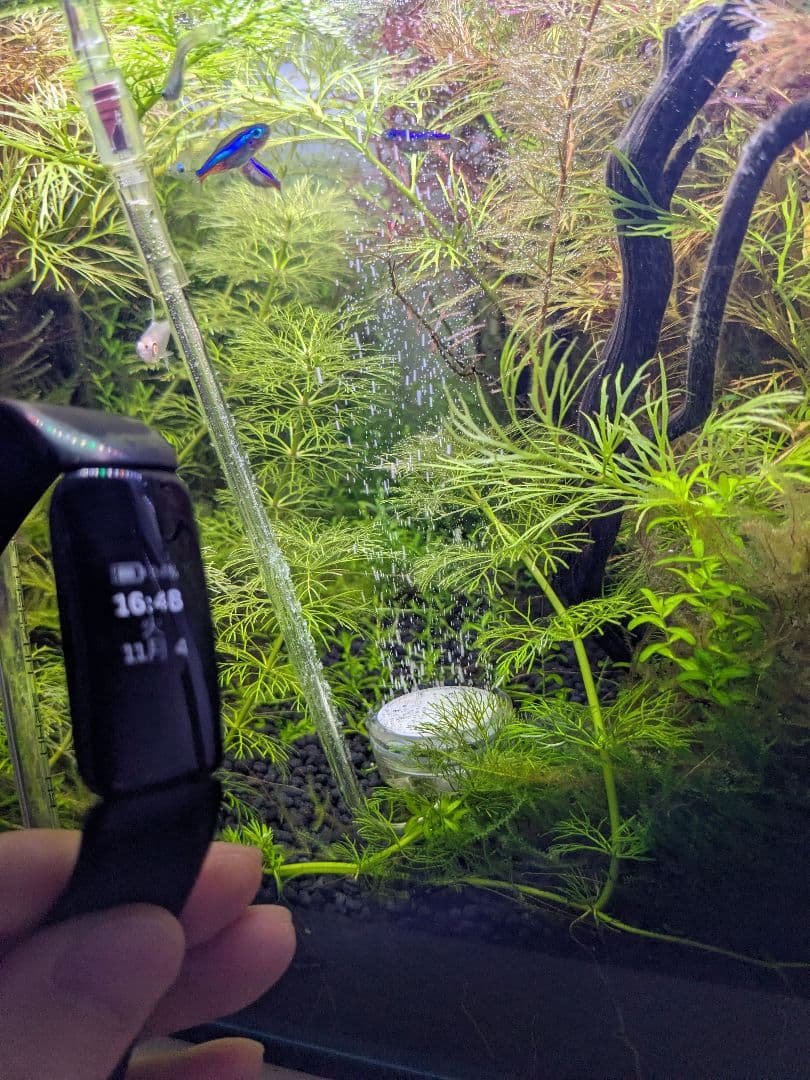 シルボン CO2ジェネレーター PRO-D805s Ver 1.4