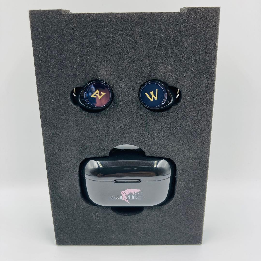 【未使用級】マクロス ワルキューレ イヤホン AVIOT TE-D01v-MCD