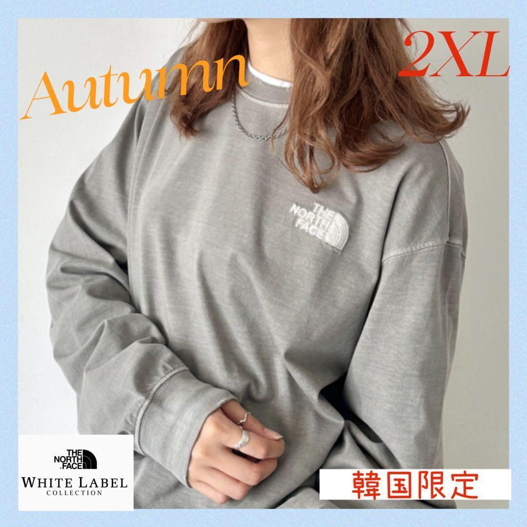 大特価‼️THE NORTH FACE カットソーグレー ロンT 2XL