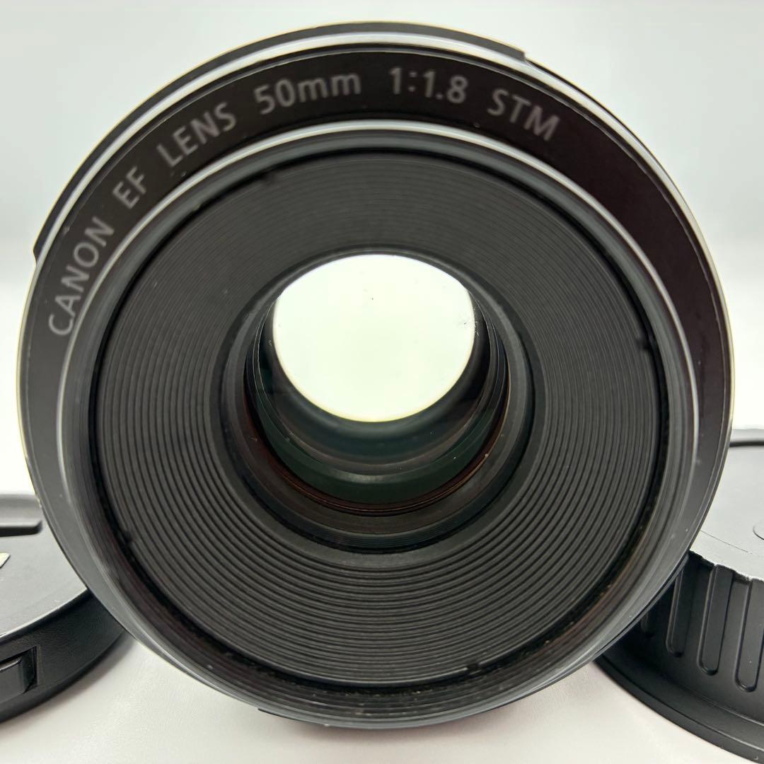 ⭐︎美品⭐︎ Canon EF 50mm f/1.8 STM ポートレート　単焦点