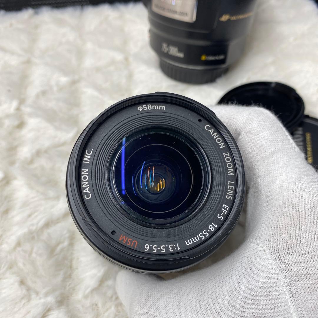 Canon 75-300mm & EF-S 18-55mm レンズセット