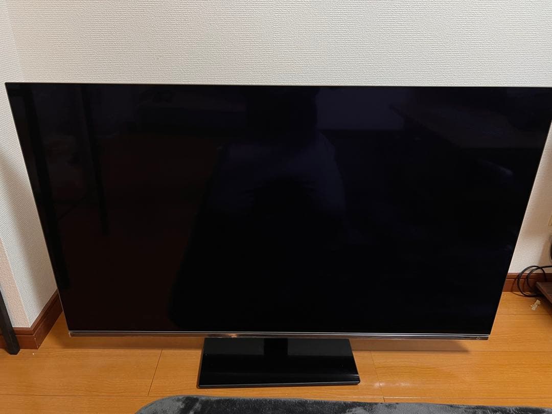 【引取限定】REGZA 48X8900K 有機ELテレビ