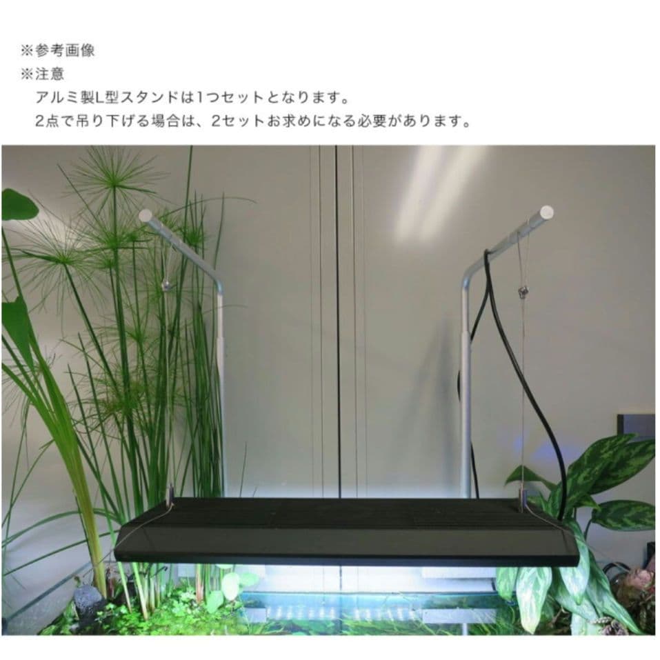 ちょっき　チヒロスライトセット