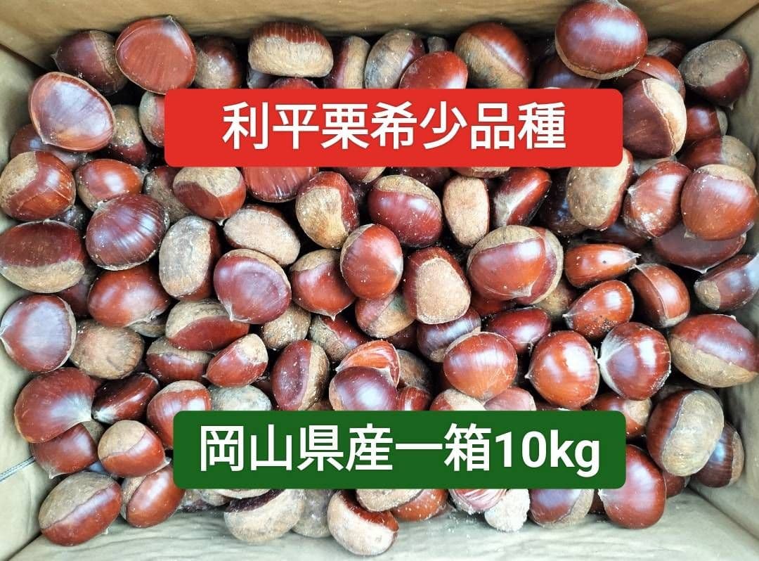 利平栗 岡山県産 10kg