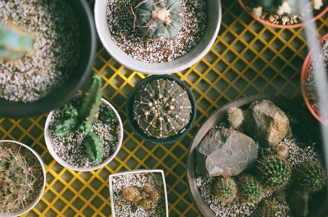 え*ん様 動作確認済み Nikon F3 ボディ 一眼レフ カメラ 純正レザーケ