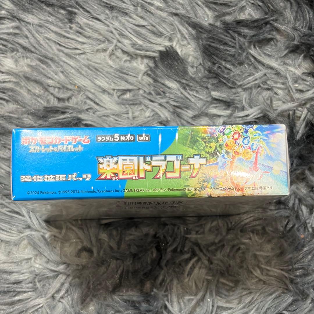 【新品未開封】 楽園ドラゴーナ おまけ付き