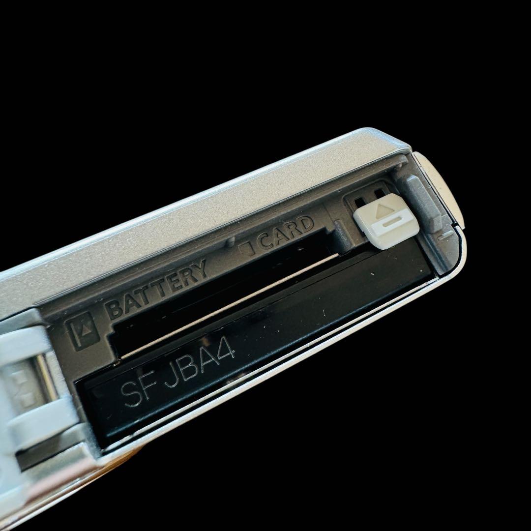 【いぬ】Panasonic パナソニックLUMIX DMC-FH6 シルバ