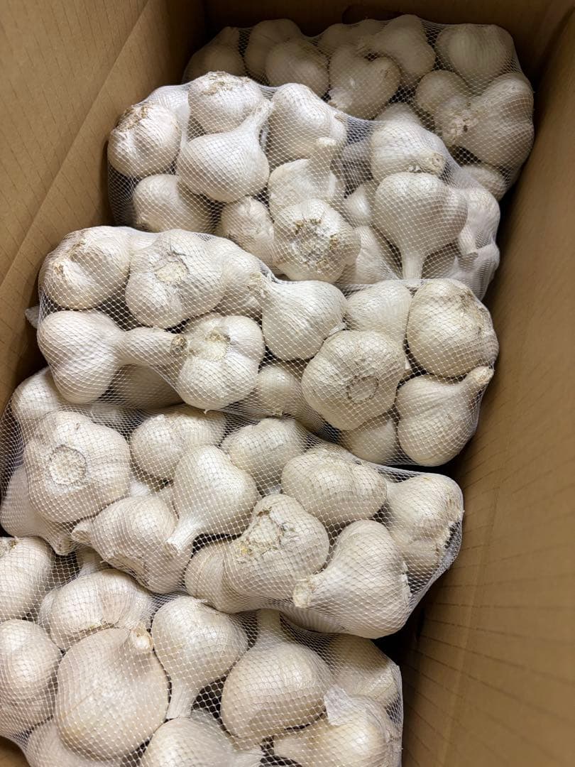 青森県産 福地ホワイト六片 にんにく Ｍ 玉 １０ｋｇ