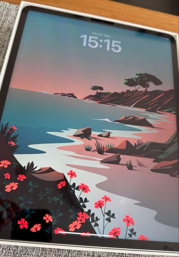 iPad Pro 第5世代 12.9インチ 128GB シルバー