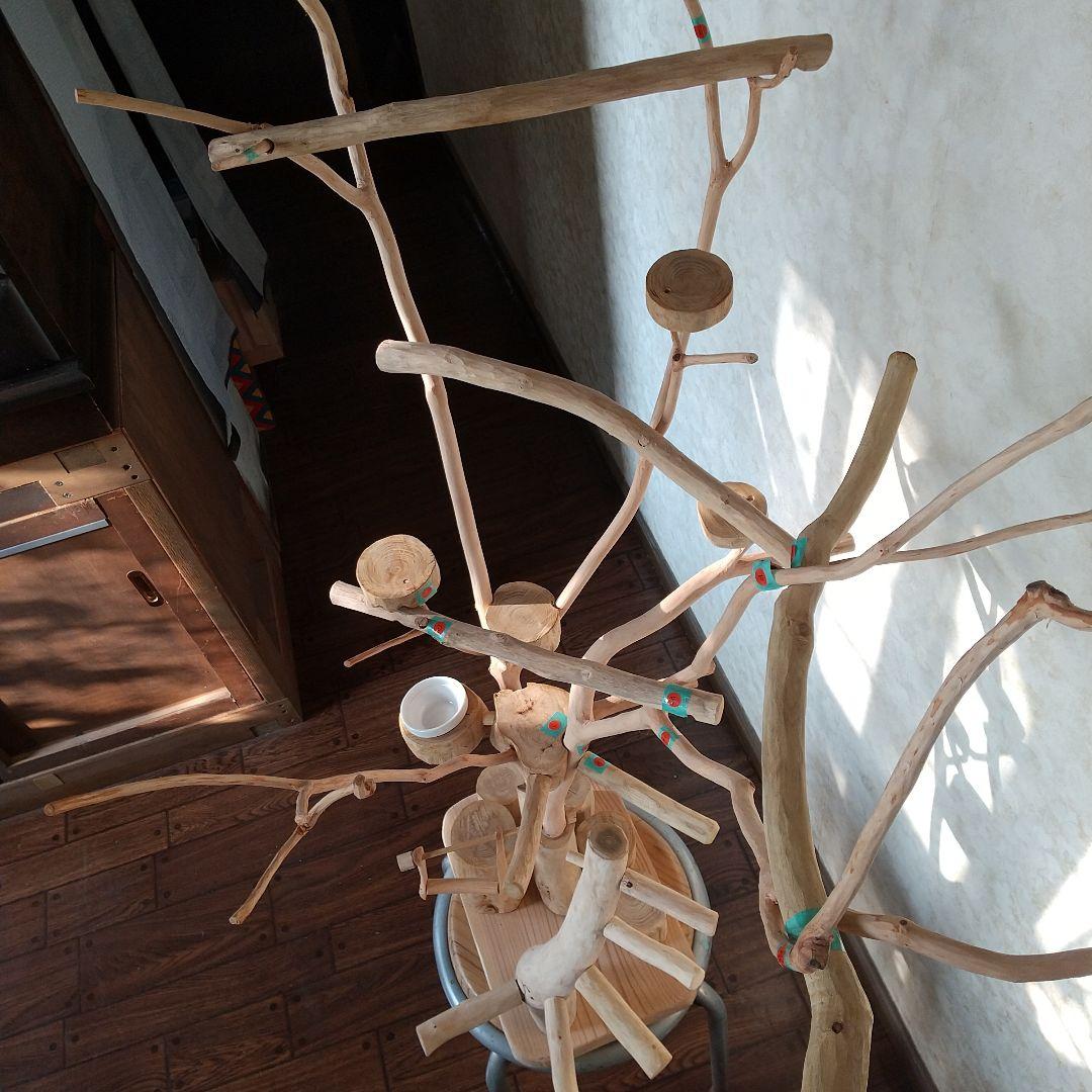 ココア牛乳インコバードアスレチックツリージム楽園シリーズ④