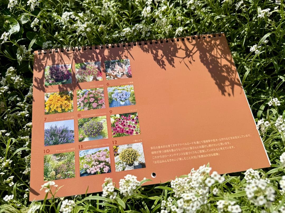 ◆◆『うみさん専用』ゆるふわ園芸やっちゃんねる◆◆