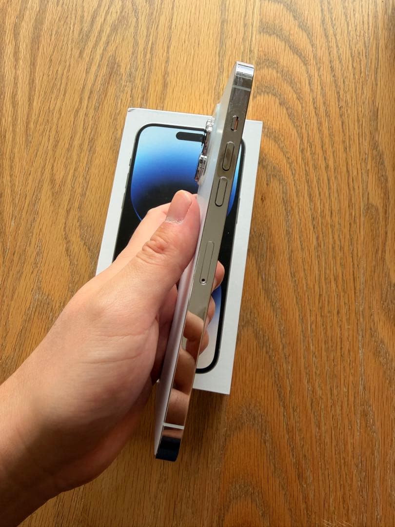 海外　Apple iPhone 14 Pro Max シルバー 本体 256GB