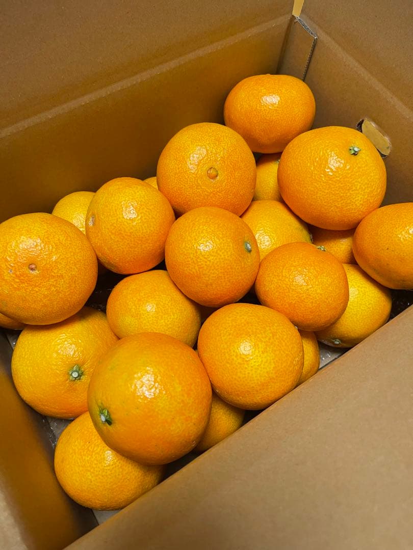 愛果28号(紅マドンナと同じ品種)・5kgx2箱・ご家庭用