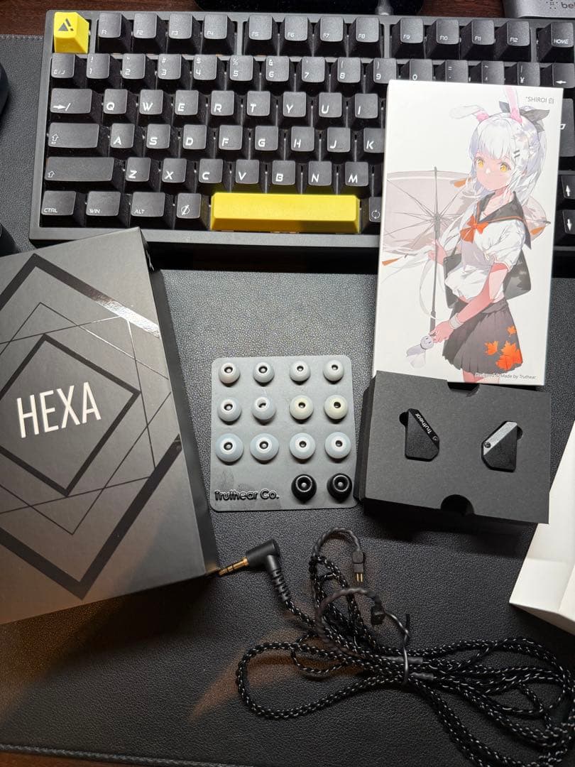 【即日発送】truthear HEXA リケーブル可能イヤホン