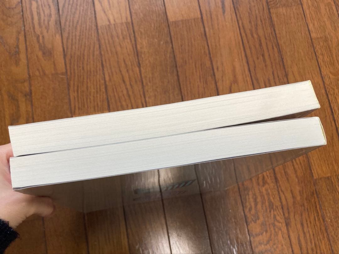 新建築 1991年1,9月臨時増刊 建築20世紀1,2 創刊65周年記念号 2冊