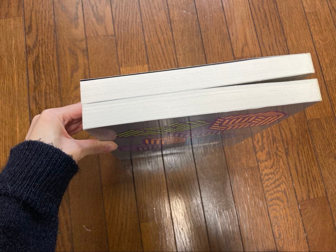 新建築 1991年1,9月臨時増刊 建築20世紀1,2 創刊65周年記念号 2冊