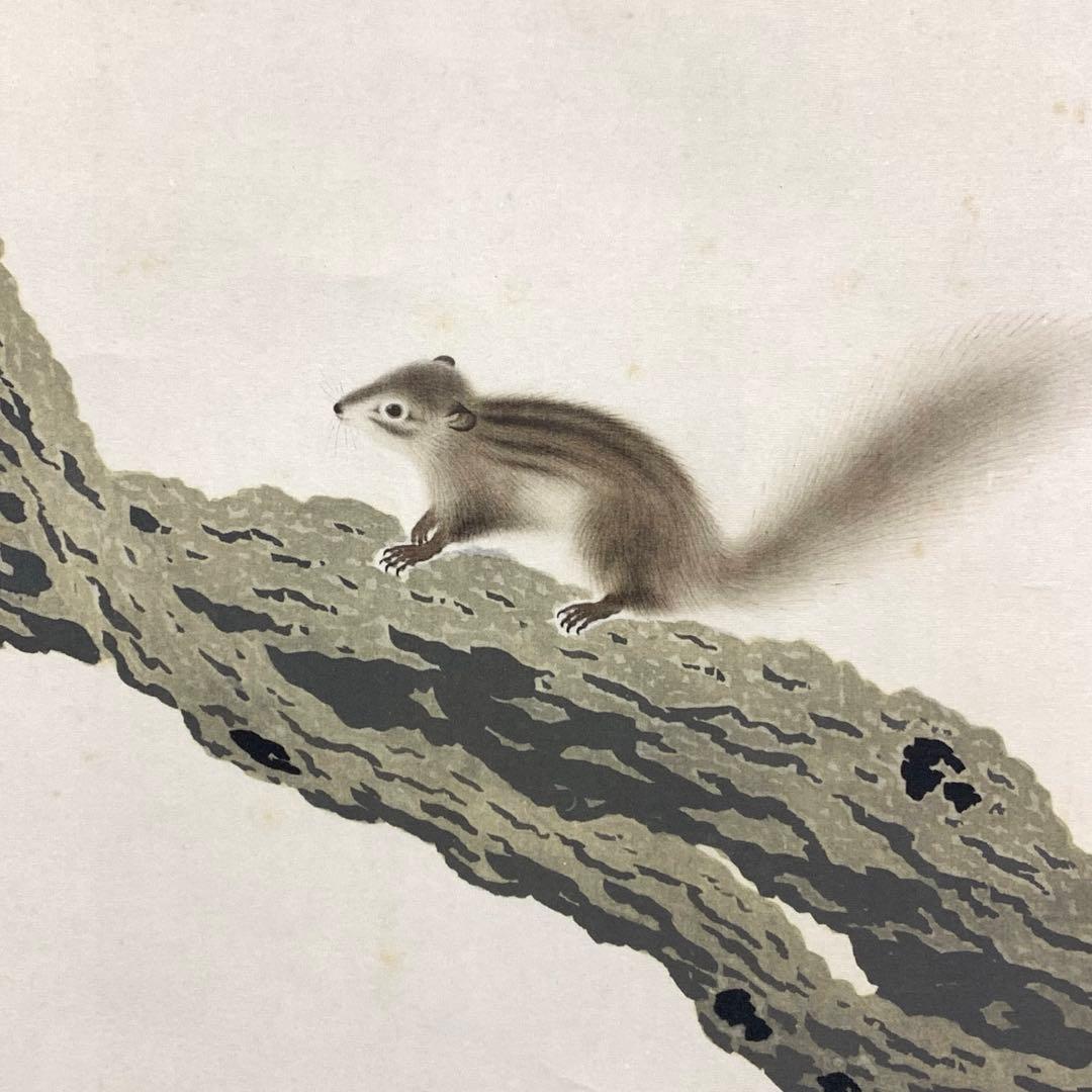 掛軸 菱田春草 栗鼠 木箱 工芸 りす 秋 3-12