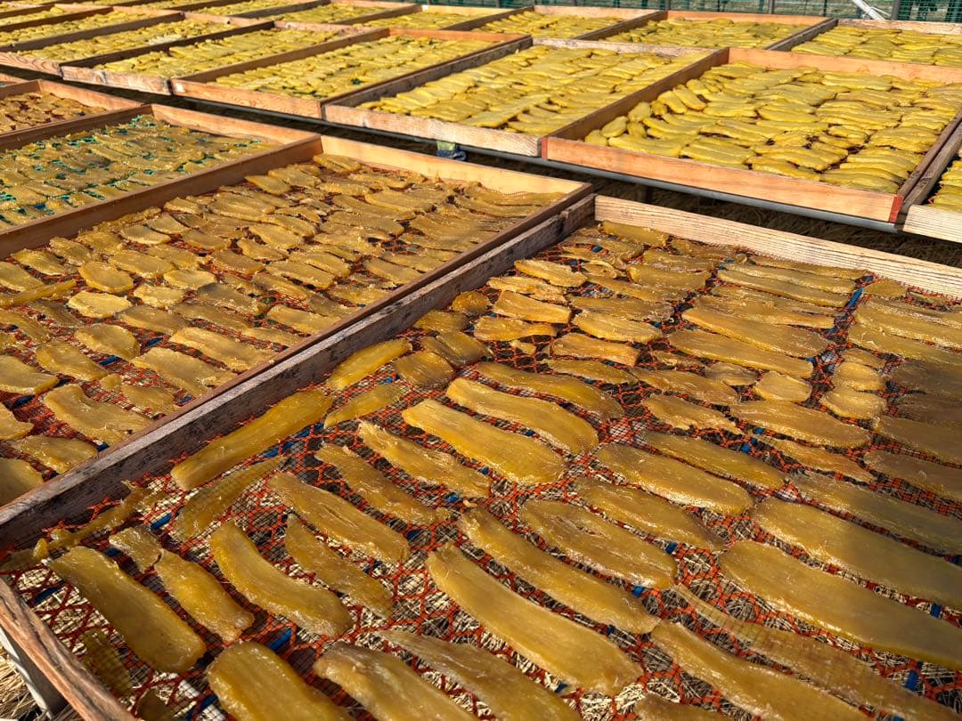 【M】犬用 ほしいも 天日干し　干し芋　※5kg