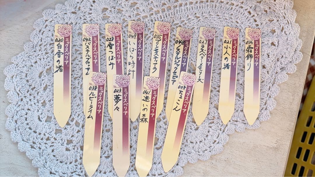 おらいさん.＊札のみ.13種セット.＊