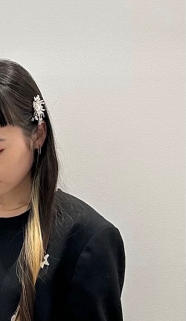 Tanaka Daisuke / crystal hair clip 左用