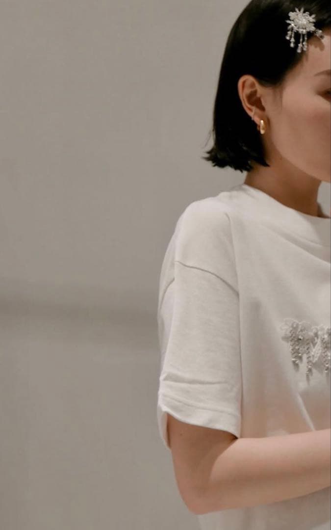 Tanaka Daisuke / crystal hair clip 左用