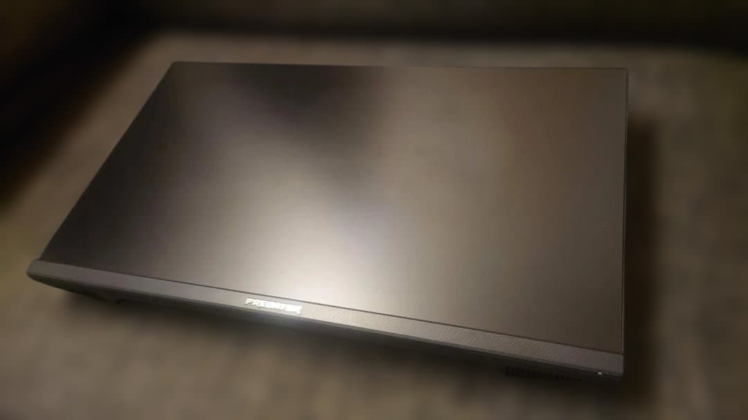 Acer Predator ゲーミングディスプレイ XB253Q 箱・付属品付き