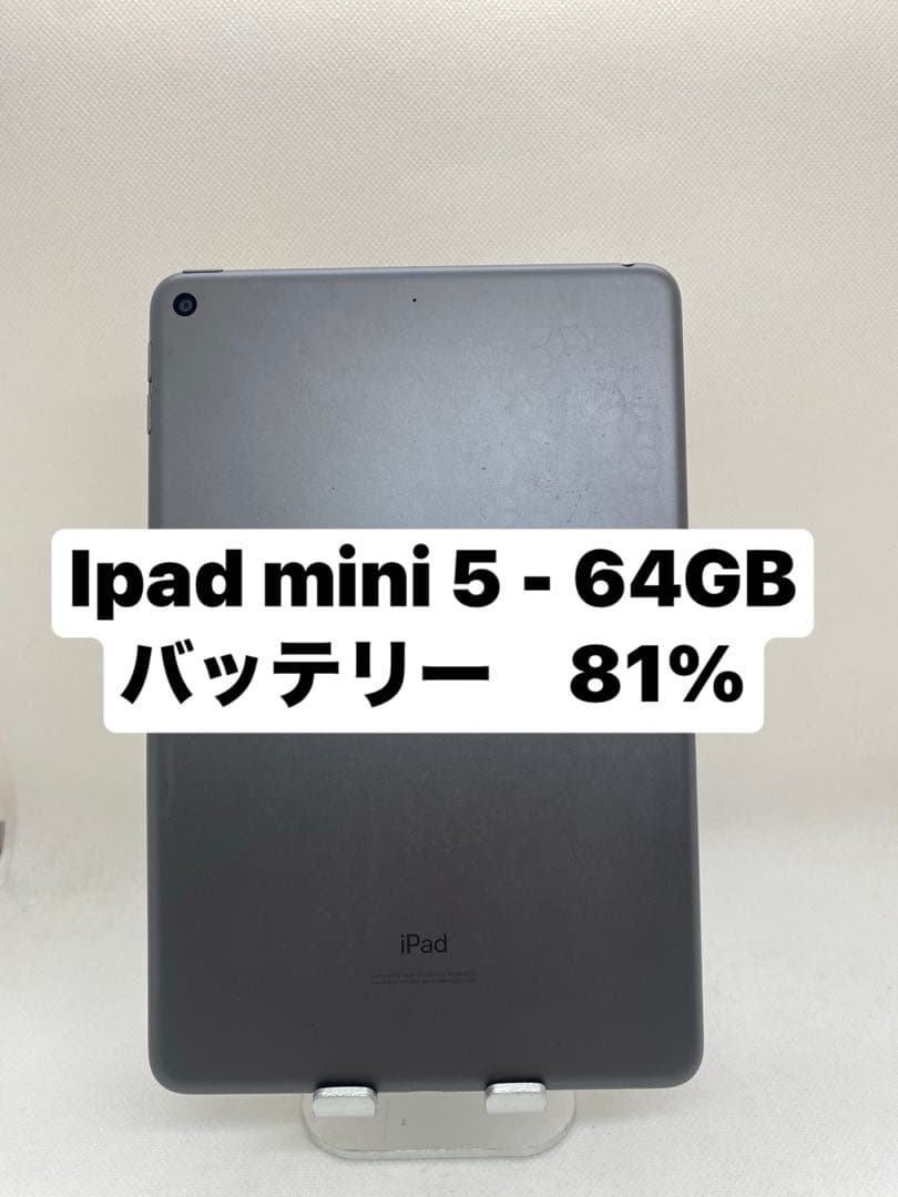 ジャンク品iPad mini 5 64GB バッテリー81% 9LM93
