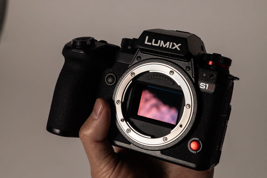 【超美品】LUMIX S1II ※バッテリーx3 急速充電器付き