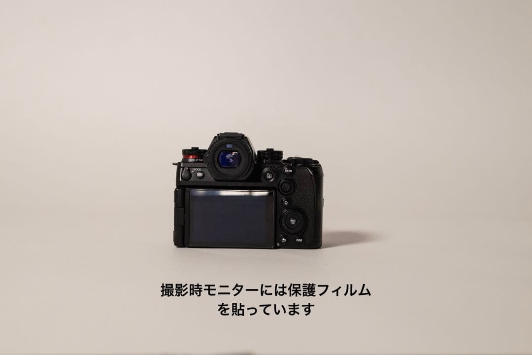 【超美品】LUMIX S1II ※バッテリーx3 急速充電器付き