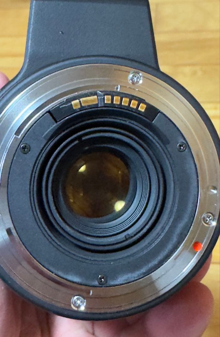 SIGMA 135-400mm F4.5-5.6APOレンズ