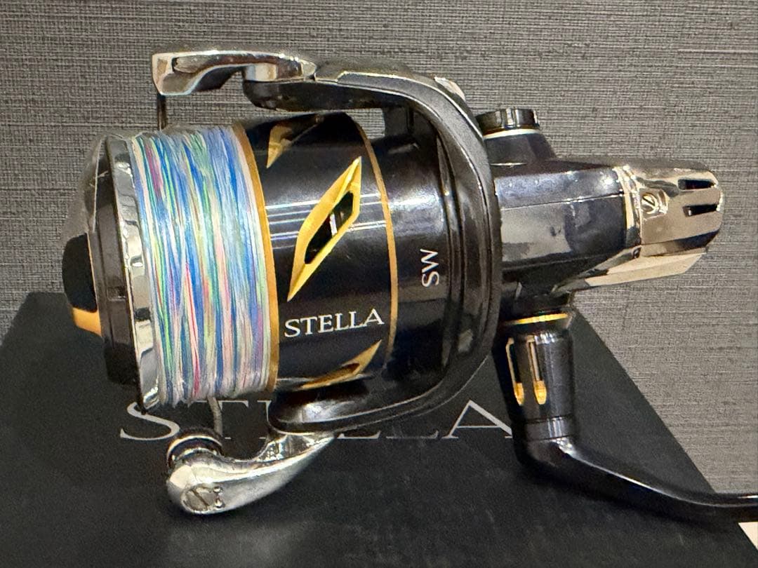 ステラ SW6000PGC スピニングリール