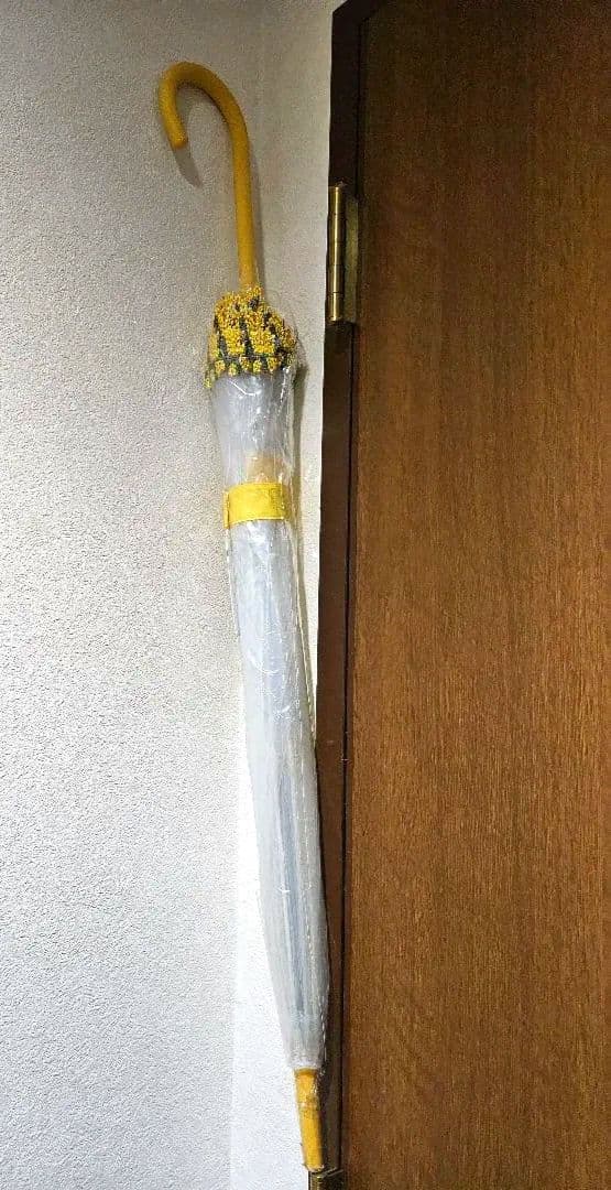 【お値下げ中】近沢レース　長傘