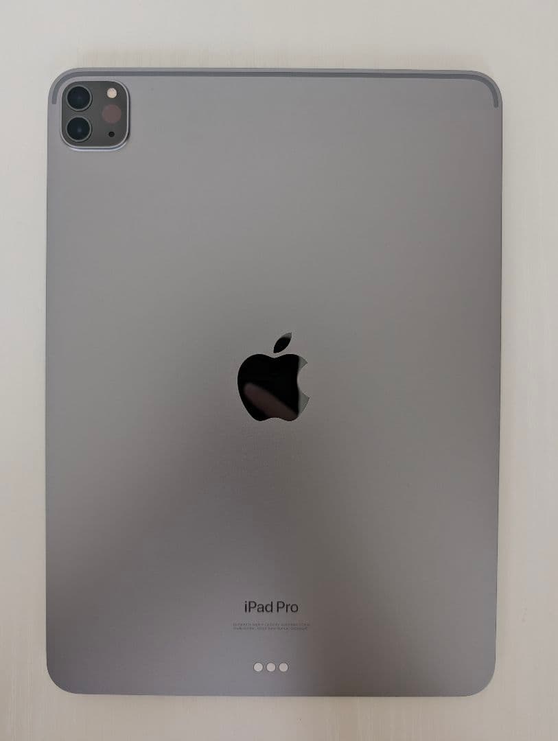 M2 iPad Pro (11インチ)(第4世代)+外箱+ESRケース
