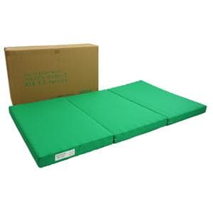 定価27500円 最新 新品 ヘルスビューティウェーブ NEO DX DCver