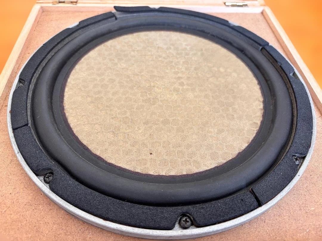 ☆春夏秋冬☆　アリアンテ 10インチ サブウーファー 専用ケース付き