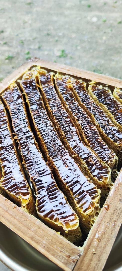 日本蜜蜂　結晶化はちみつ　非加熱　京都　京北産　　600g×3