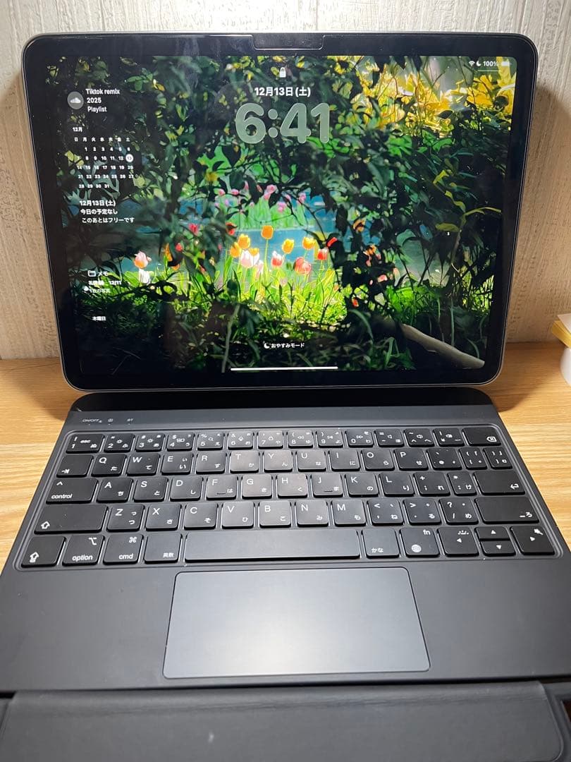 iPad Air 11 inch M2/2024 (値下げた！)