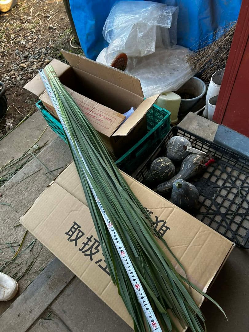 完全無農薬レモングラスの葉 10キログラムです。