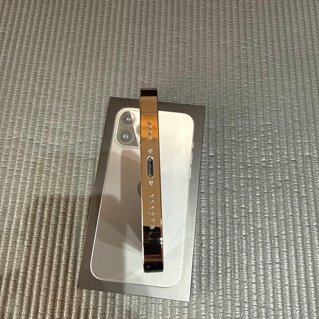 Apple iPhone 13 Pro max 1TBスペースブラックおまけ付き